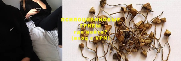 mdpv Армянск