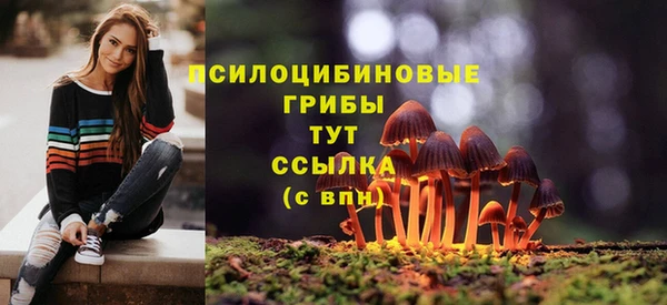 соль курить ск Арсеньев
