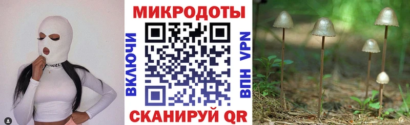 Галлюциногенные грибы Psilocybe МЕГА ссылка Советский где найти