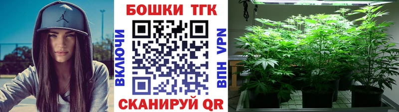 Конопля гибрид Советский